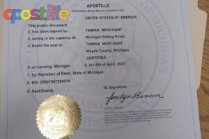 Apostille Birth Certificate Michigan